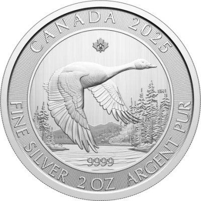 Gås - 2 Oz - Sølv investeringsmønt
