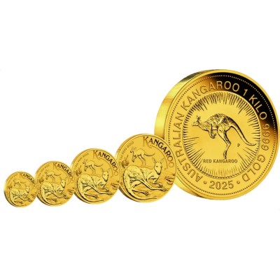 Kænguru (2025) - 1/10 Oz - guld investeringsmønt