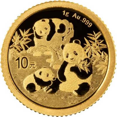 Panda (2025) - 1g - investeringsmønt i guld