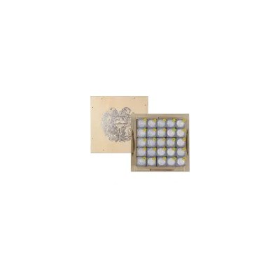Noahs Ark (2025) - 1/4 Oz - investeringsmønt i sølv