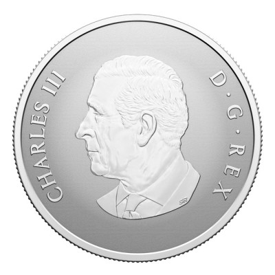 "Velkommen til verden" 2025 - 1/2 oz - sølv gavemønt