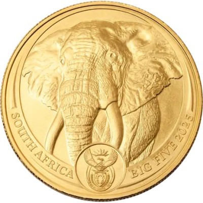 Big Five Elephant (2025) - 1 Oz - Guldmønt