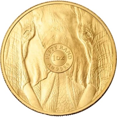 Big Five Elephant (2025) - 1 Oz - Guldmønt