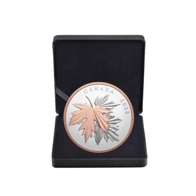 Skinnende ahornblade - 10 Oz - sølv-samlermønt (levering 12.6.2025)
