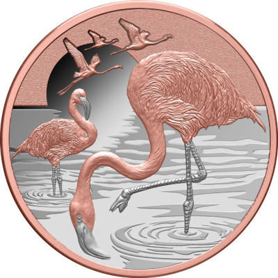 Flamingo (2025) - 1 Oz - Sølv samlemønt