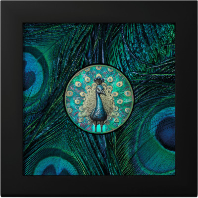 Peacock (2025) - 1 Oz - Silver Collector Coin (delivery 5.10.2025)