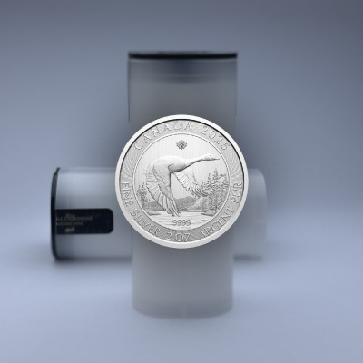 Tuba Goose 2 Oz, diameter 38 mm - tom