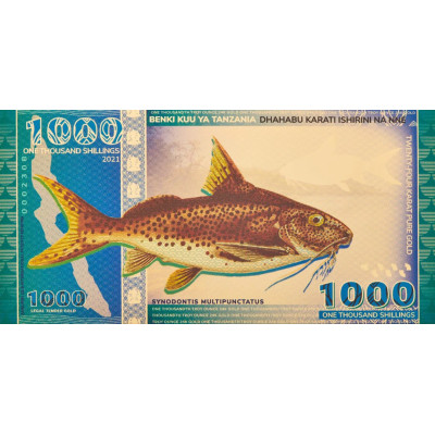 Tanzanian 1000 Shilling Lake Tanganyika Catfish