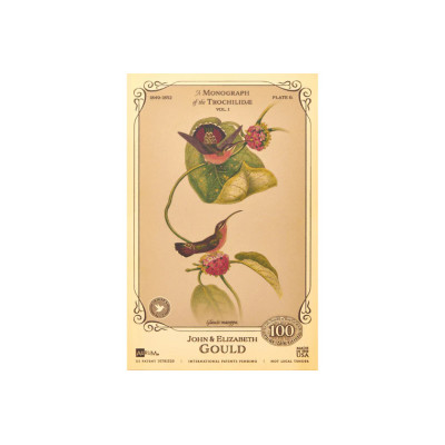 The John and Elizabeth Gould Collection - Hummingbirds