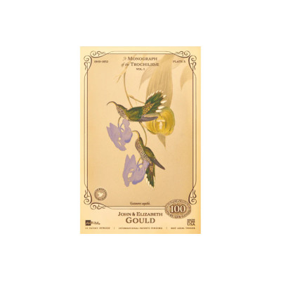 The John and Elizabeth Gould Collection - Hummingbirds