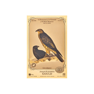 John og Elizabeth Gould Aurum - H.M.S. Beagle-samlingen
