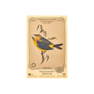 The John and Elizabeth Gould Aurum - H.M.S. Beagle Collection