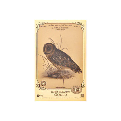 John og Elizabeth Gould Aurum - H.M.S. Beagle-samlingen