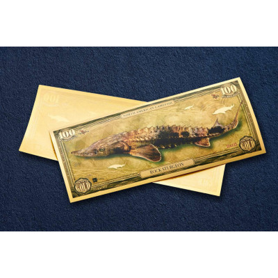 Rock Sturgeon - 24k Gold Bill - Series I
