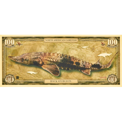 Rock Sturgeon - 24k guld seddel - Serie I