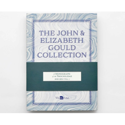 John og Elizabeth Gould-samlingen - Kolibrier