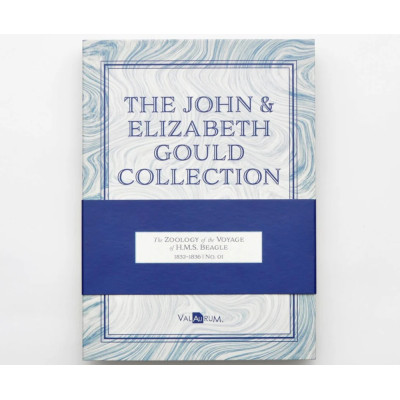 John og Elizabeth Gould Aurum - H.M.S. Beagle-samlingen